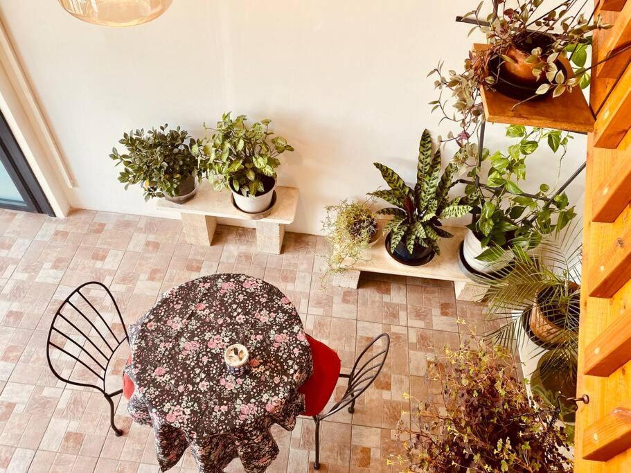 Appartement קומותיים ברמה à Sha'al Extérieur photo